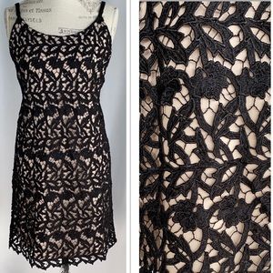 Alice + Olivia Black Embroidered Lace Nude Dress L